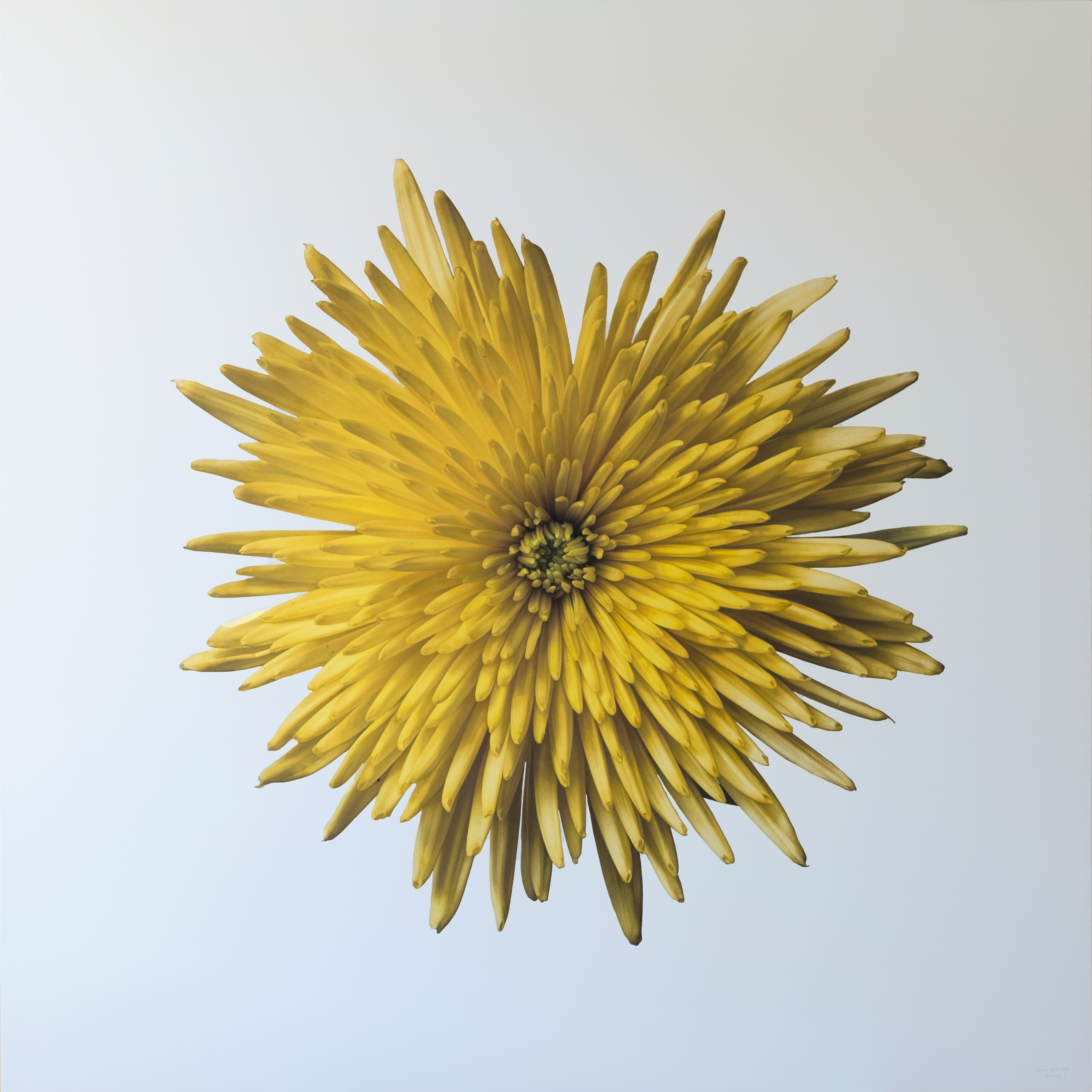 comprar arte figurativo