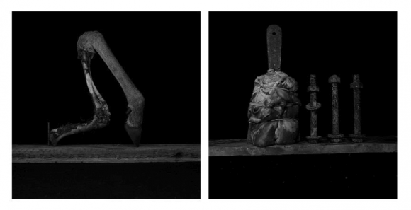 elena de la rua centrocentro