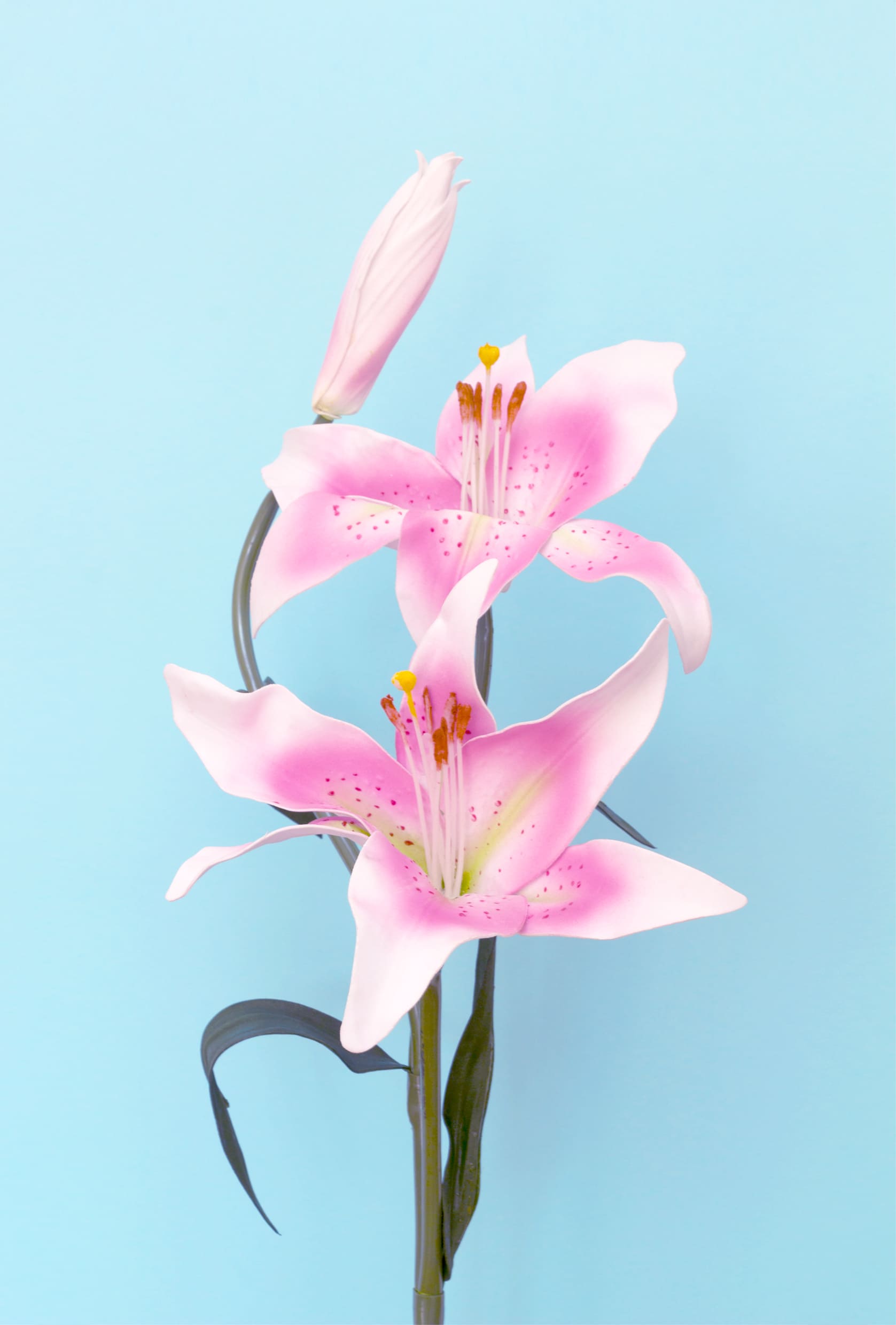 obras arte decoración salon