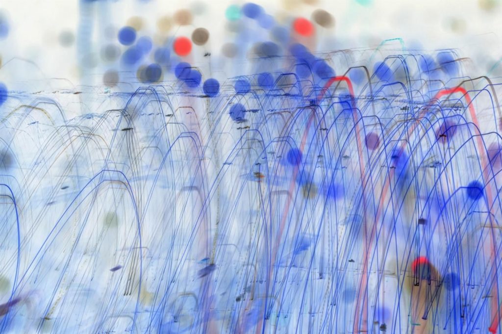 Entrevista a Yuri Tuma