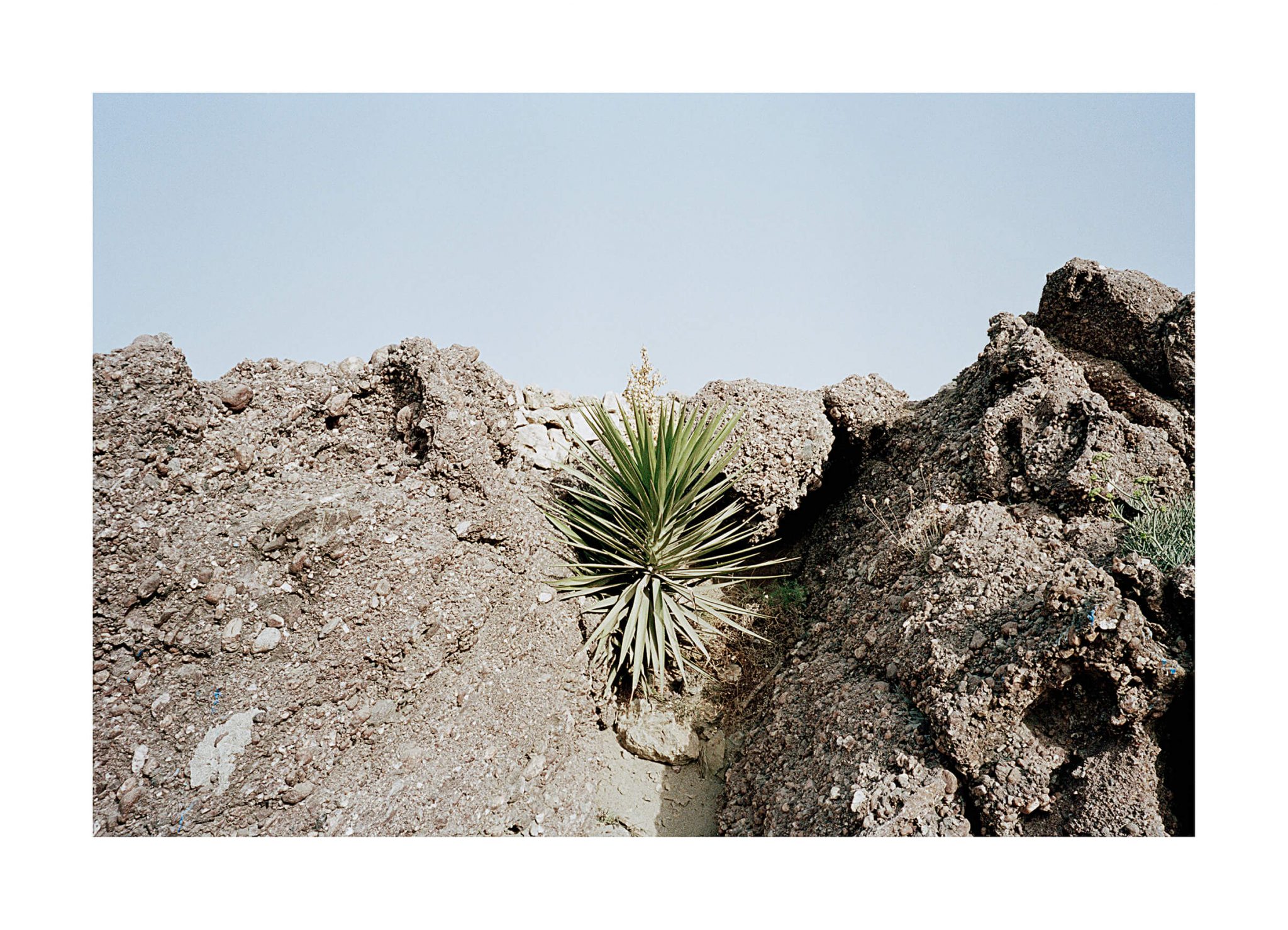 Passenger, Planta en Roca Alejandro Maureira