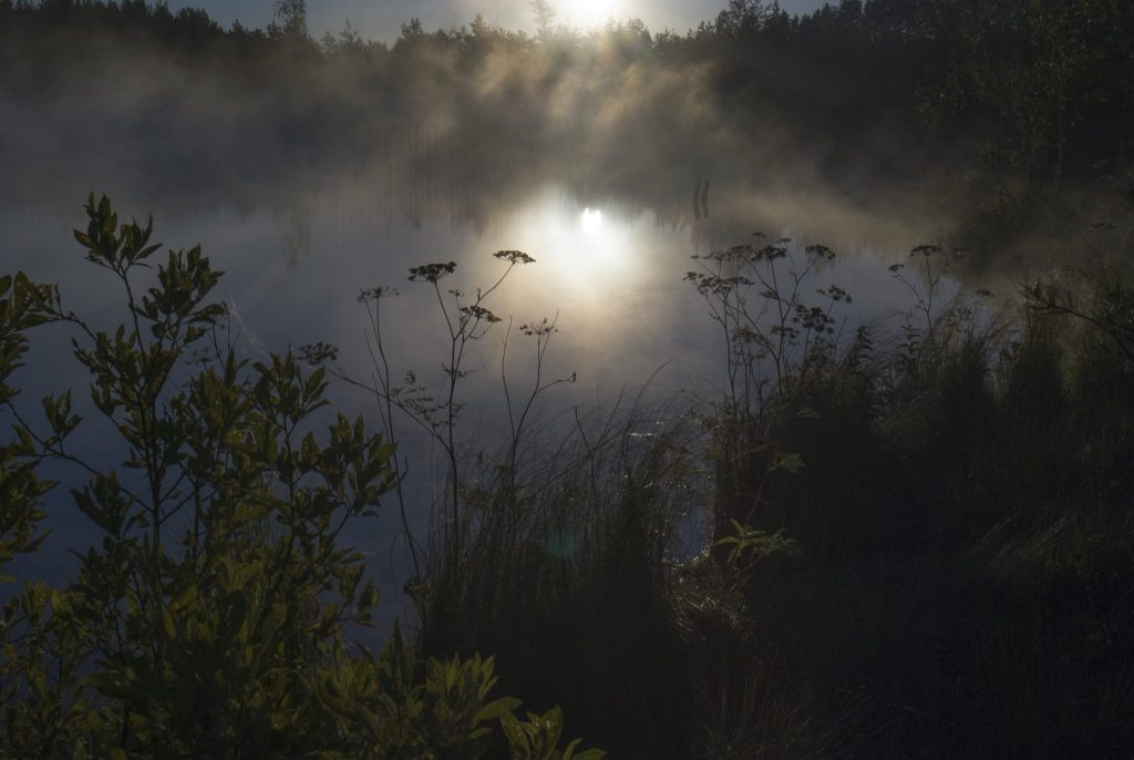 Lubana cuadros de paisajes