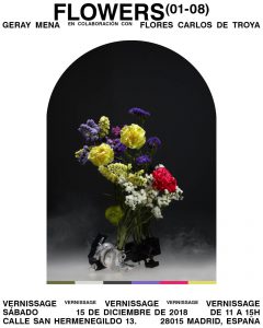 planes para navidad geray mena