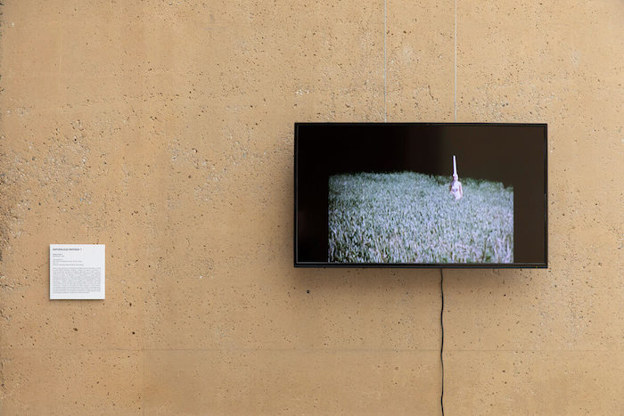 rebecca horn performances cdan