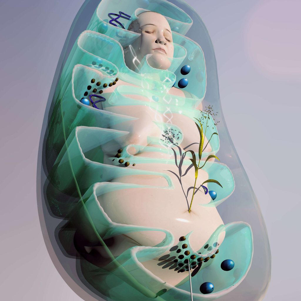 pintura y arte digital