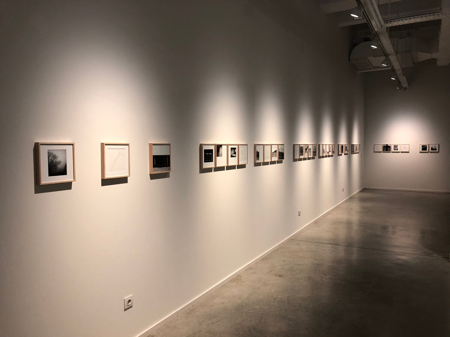 artista gallega exposición