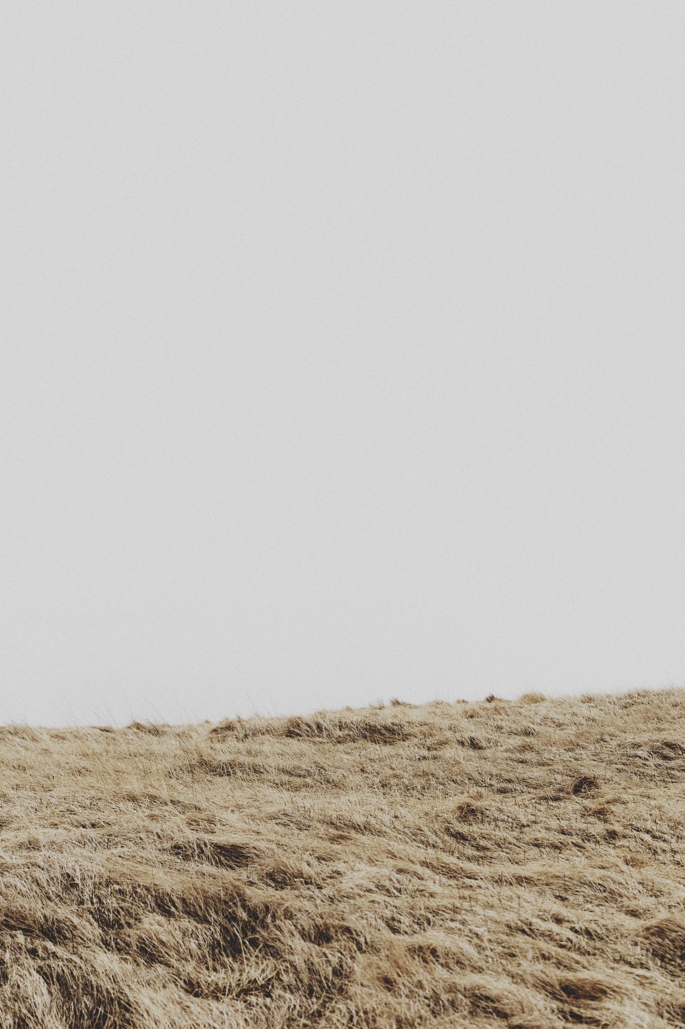 artista gallega sabela eiriz