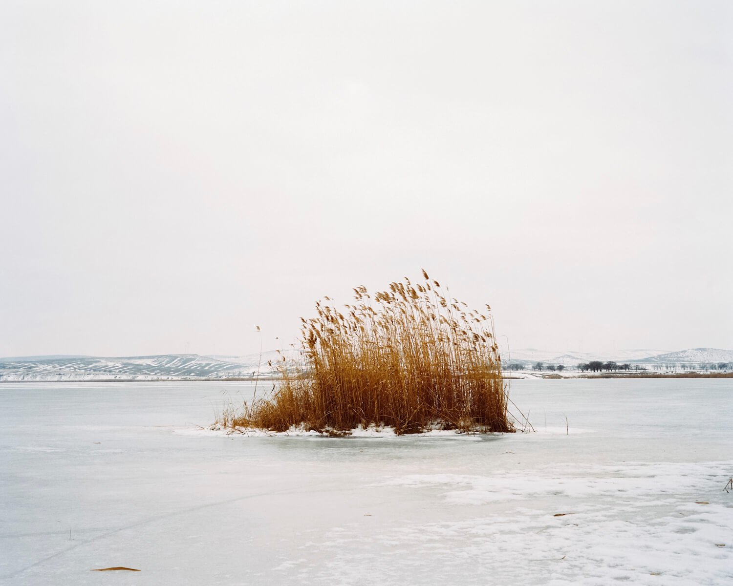 creación colectiva pascual + vincent