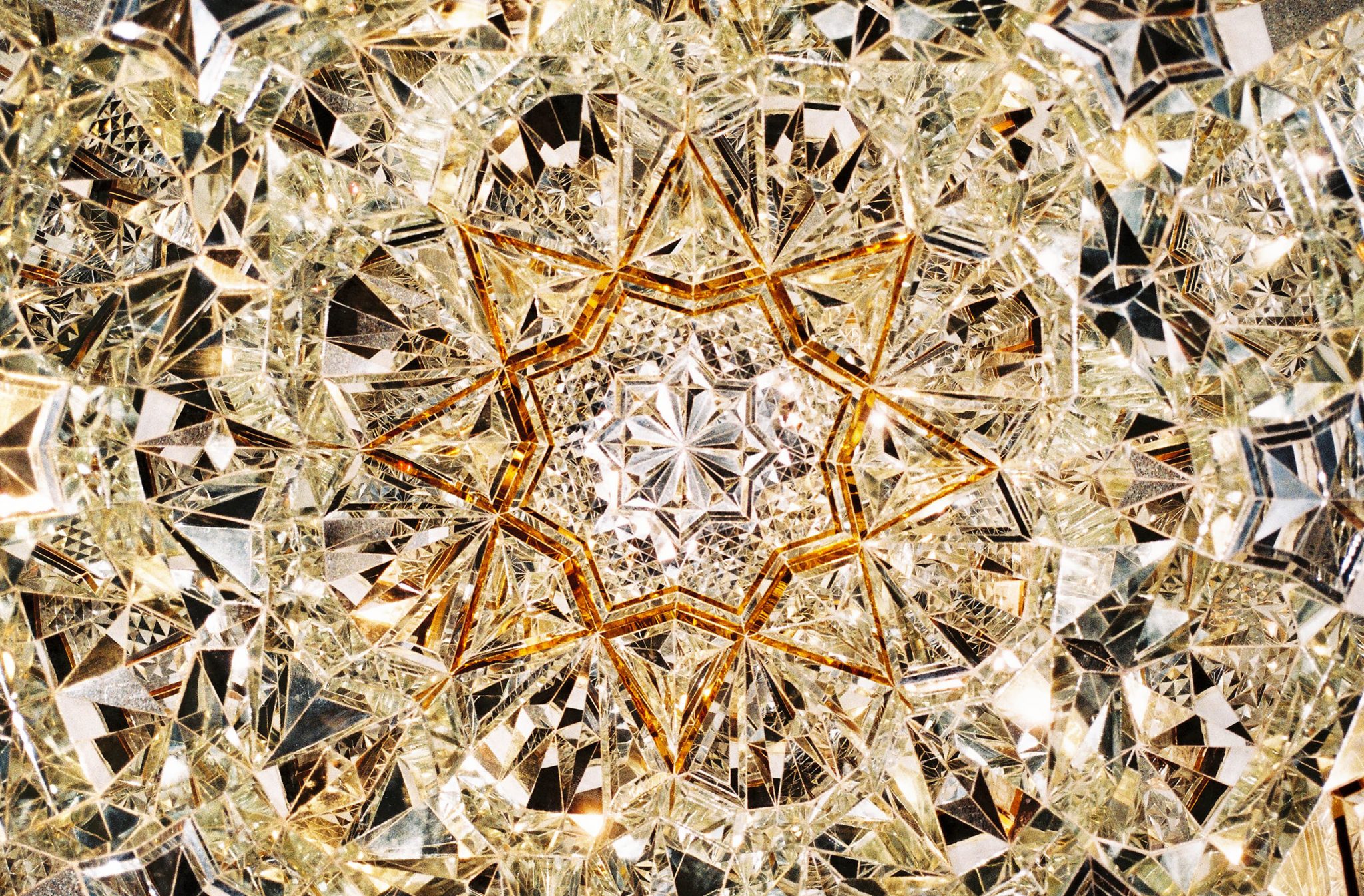 creación colectiva leafhopper