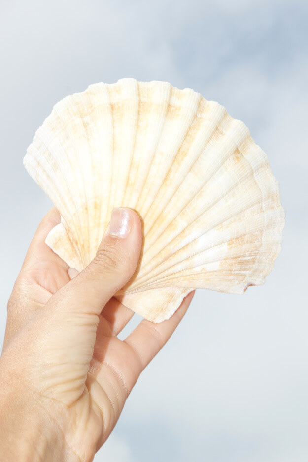 obras de arte san valentin rocio madrid