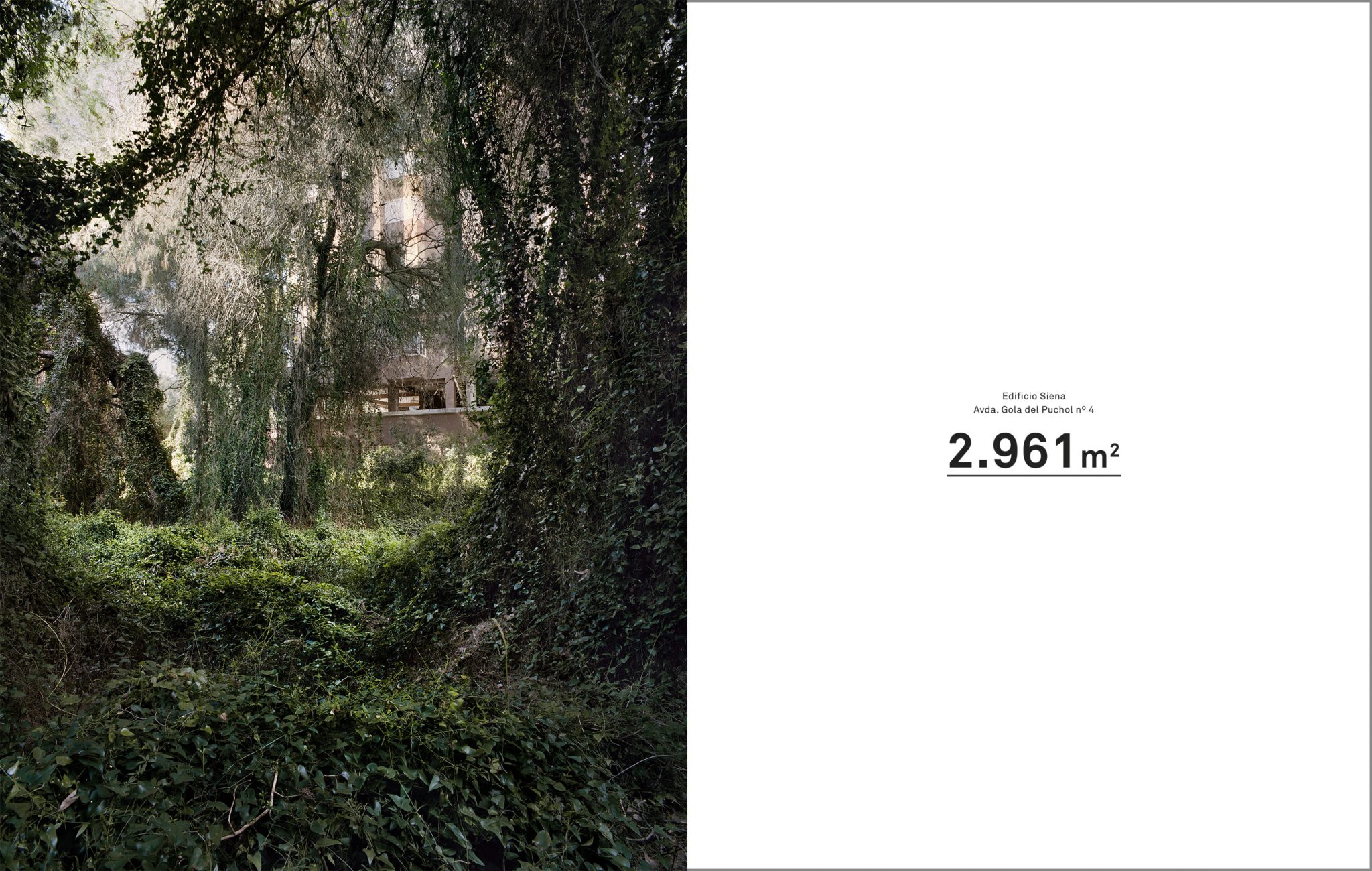 entrevista a mati martí proyecto boom