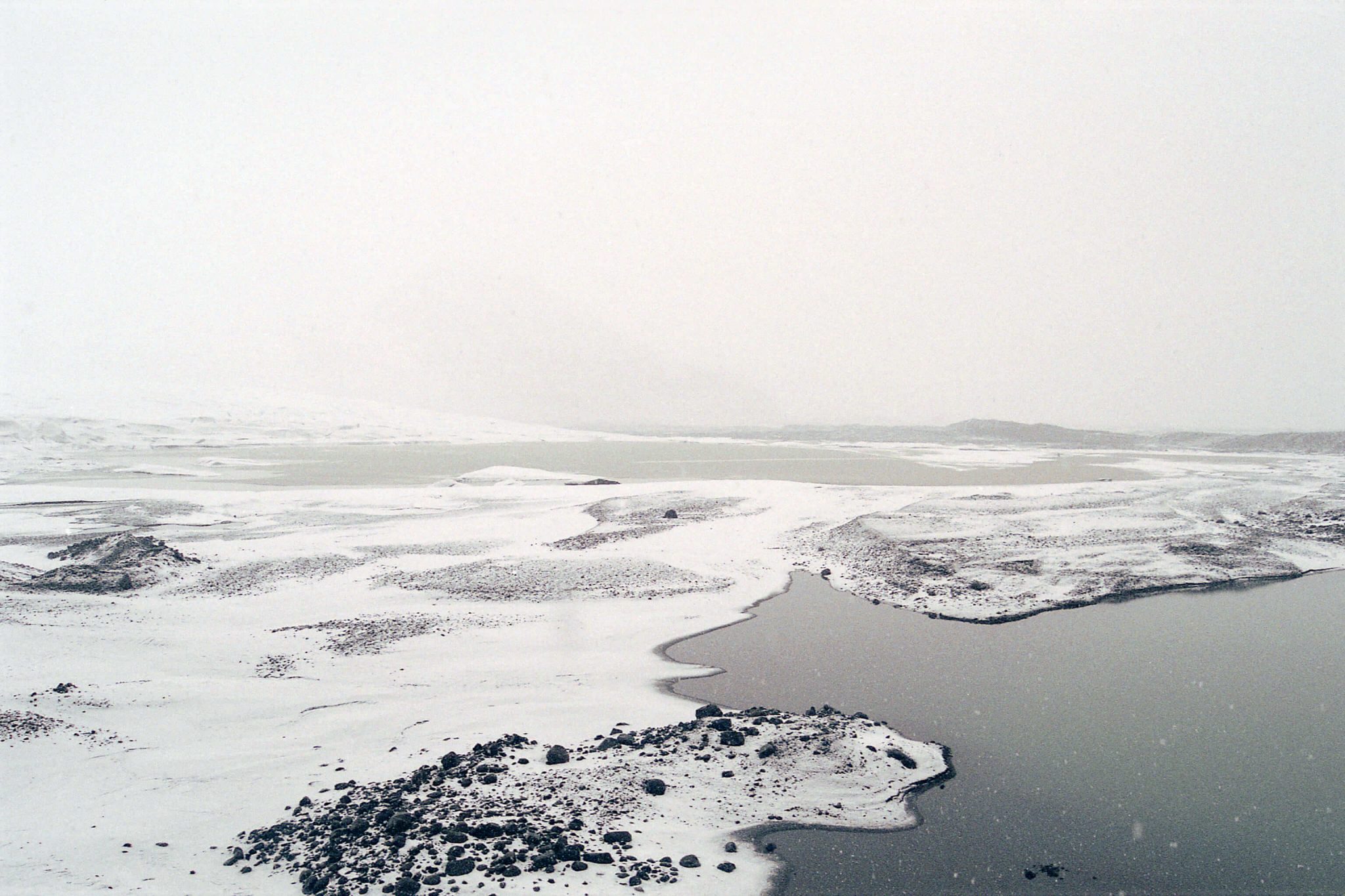 arte y medio ambiente carla oset