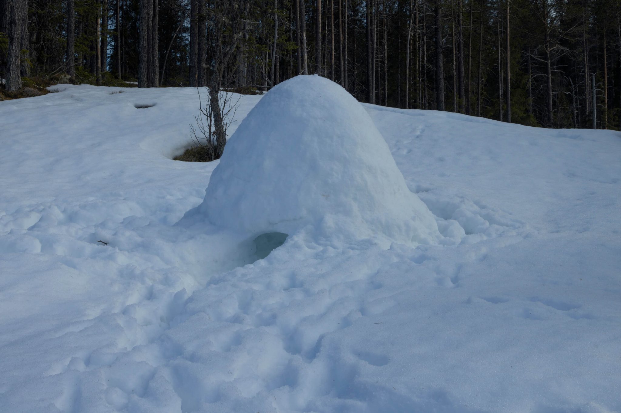 arte y medio ambiente hector hernandez