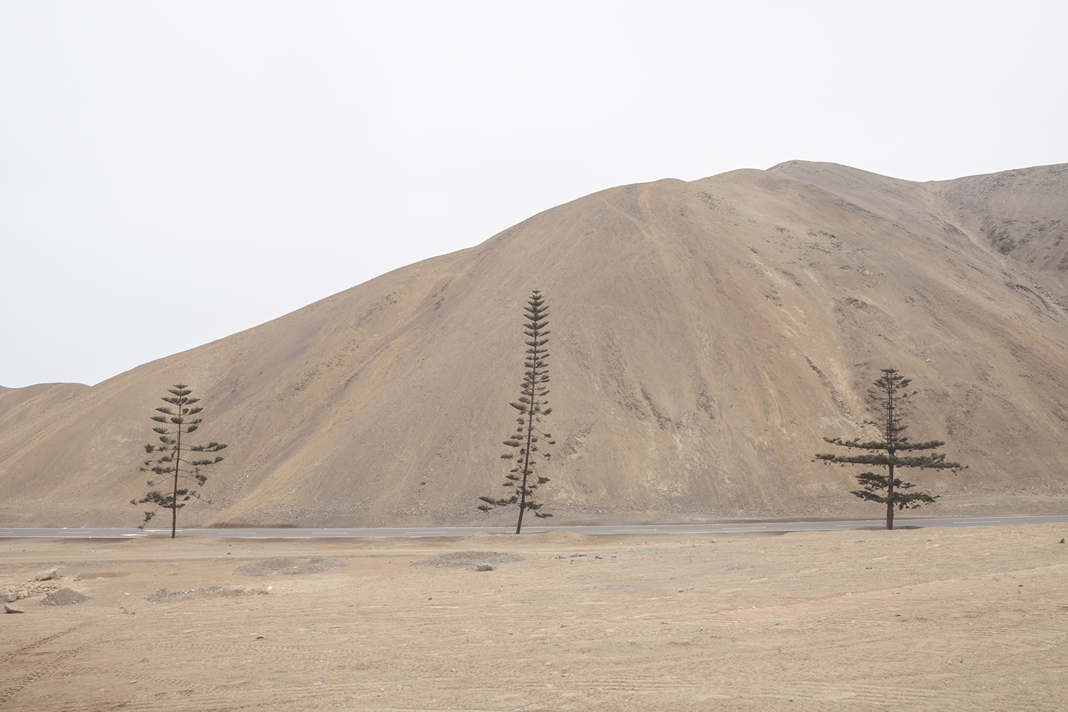 arte y medio ambiente Solange Adum 